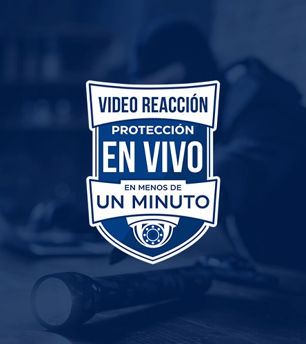 Por qué Video Reacción
