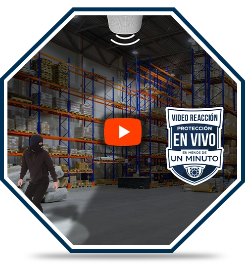Video Reacción